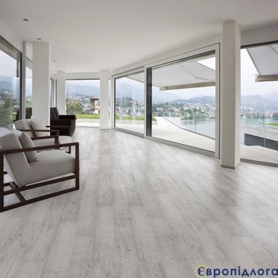 46425