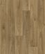 Лінолеум Beauflor Quintex Gambel Oak 669D