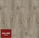 Tarkett Gallery 1233 Пікассо 504425019